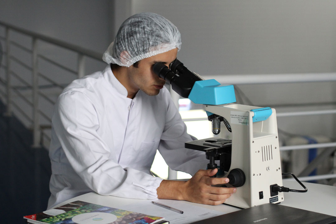 liceo scientifico
