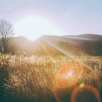 Dirigente di Comunità: Diploma in un anno!